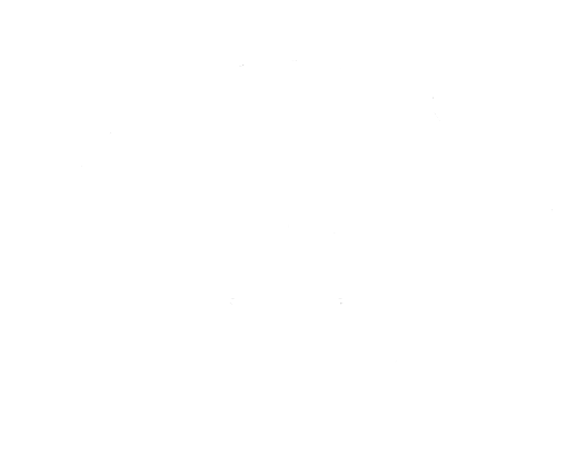 Çelik Group Servis Logo